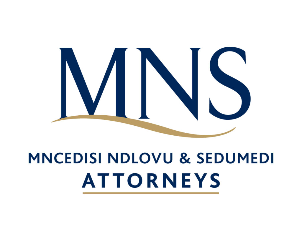 vizzade digital marketing agency client mns attorneys logo